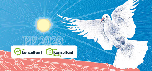 PF VAS KONZULTANT 2023.jpg